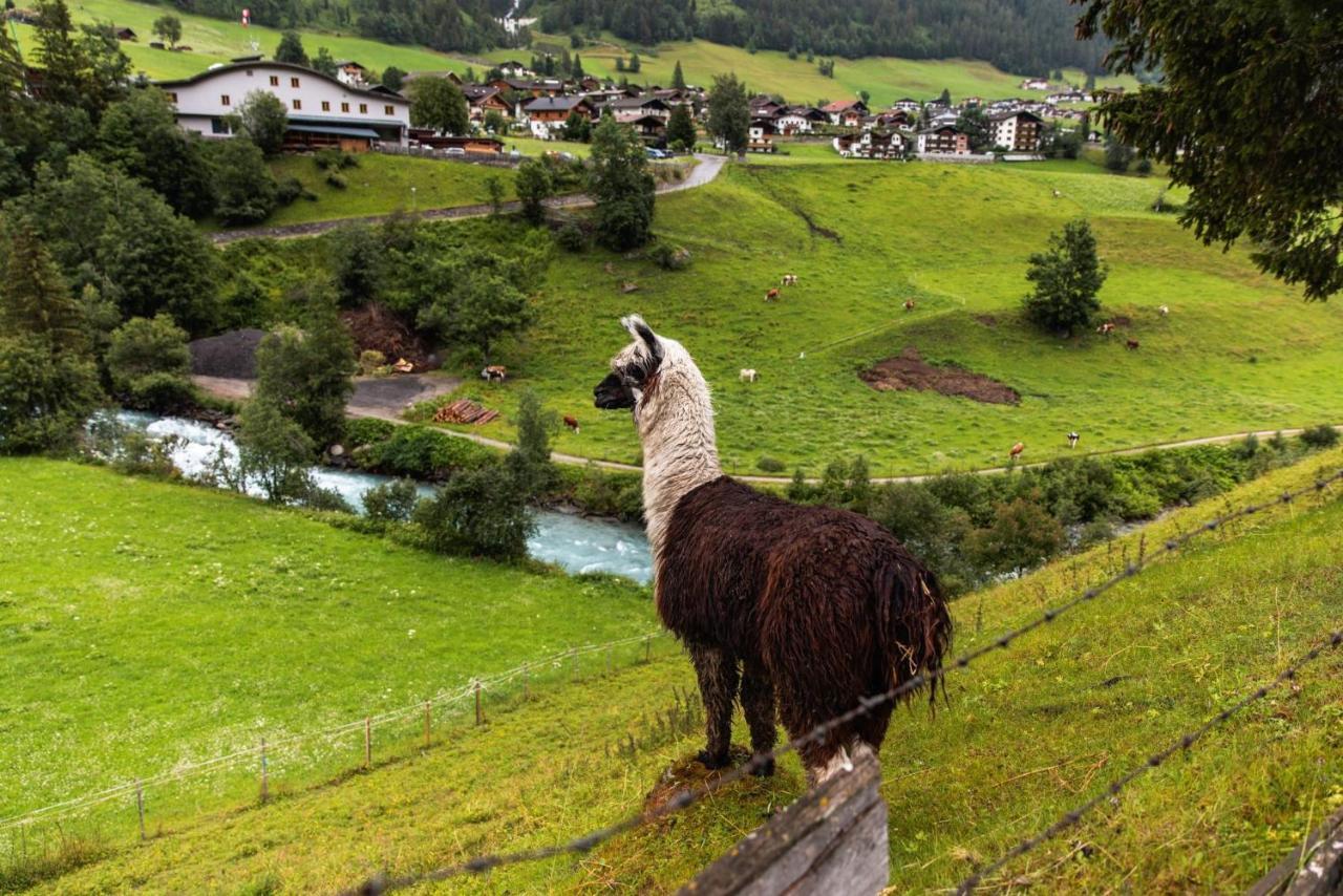 Ferienhaus Enzian Pragraten Bagian luar foto